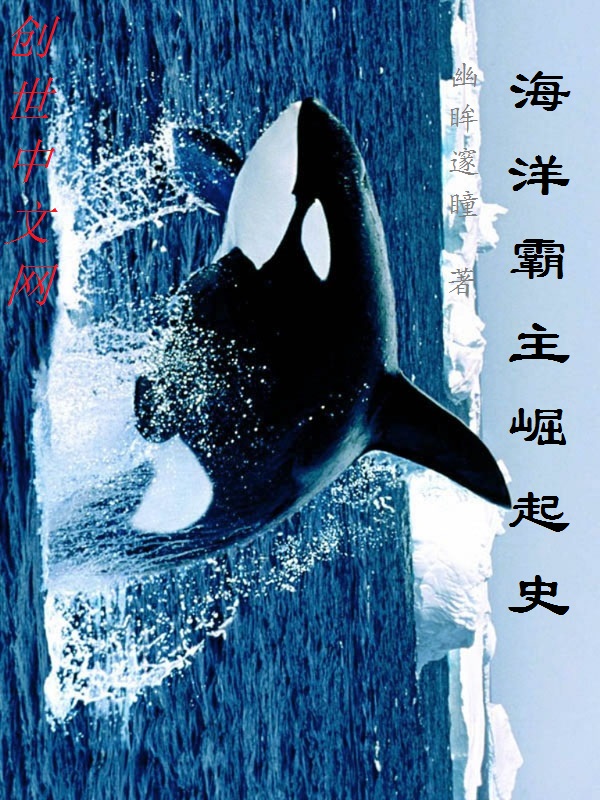 海洋霸主沧龙vs巨齿鲨